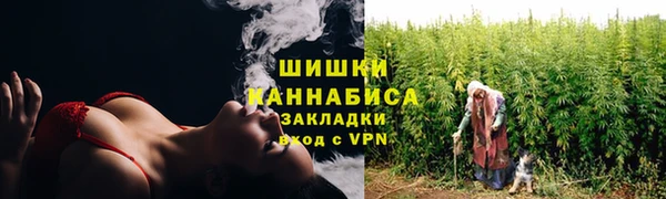индика Козловка