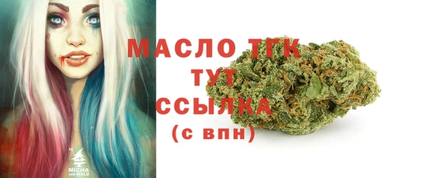 индика Козловка