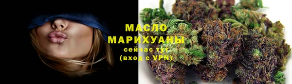 индика Козловка