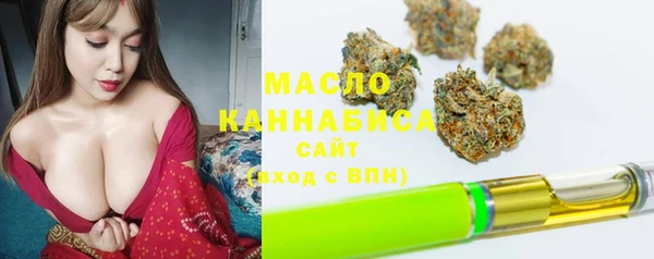 твердый Козельск