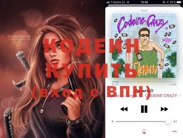 индика Козловка