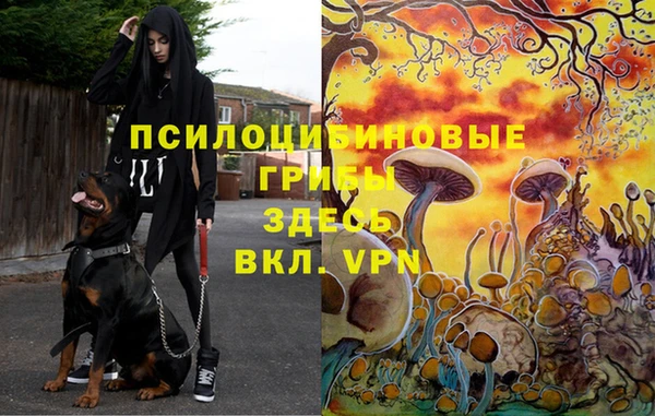 экстази Корсаков