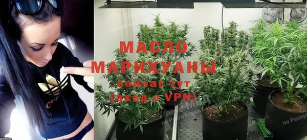 твердый Козельск