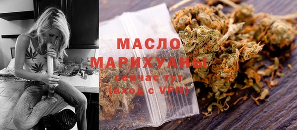 индика Козловка