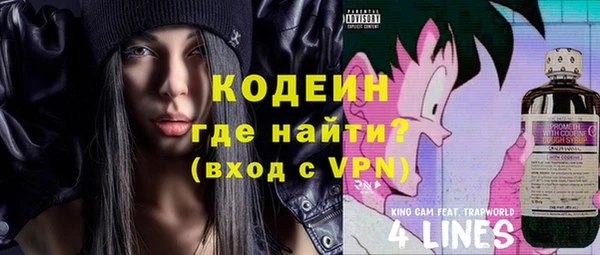твердый Козельск