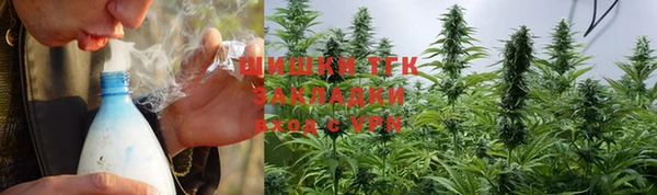 твердый Козельск