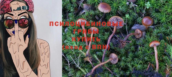 индика Козловка