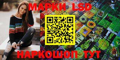 spice Камышлов