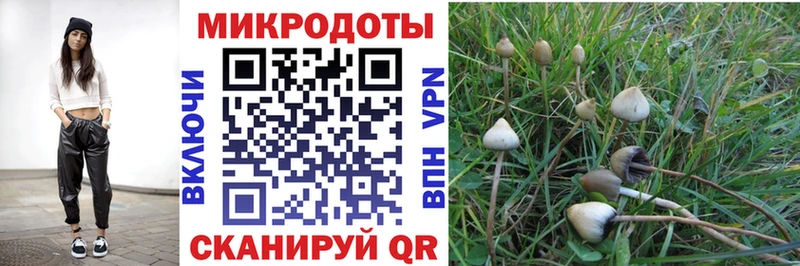 Галлюциногенные грибы Cubensis  Карталы 