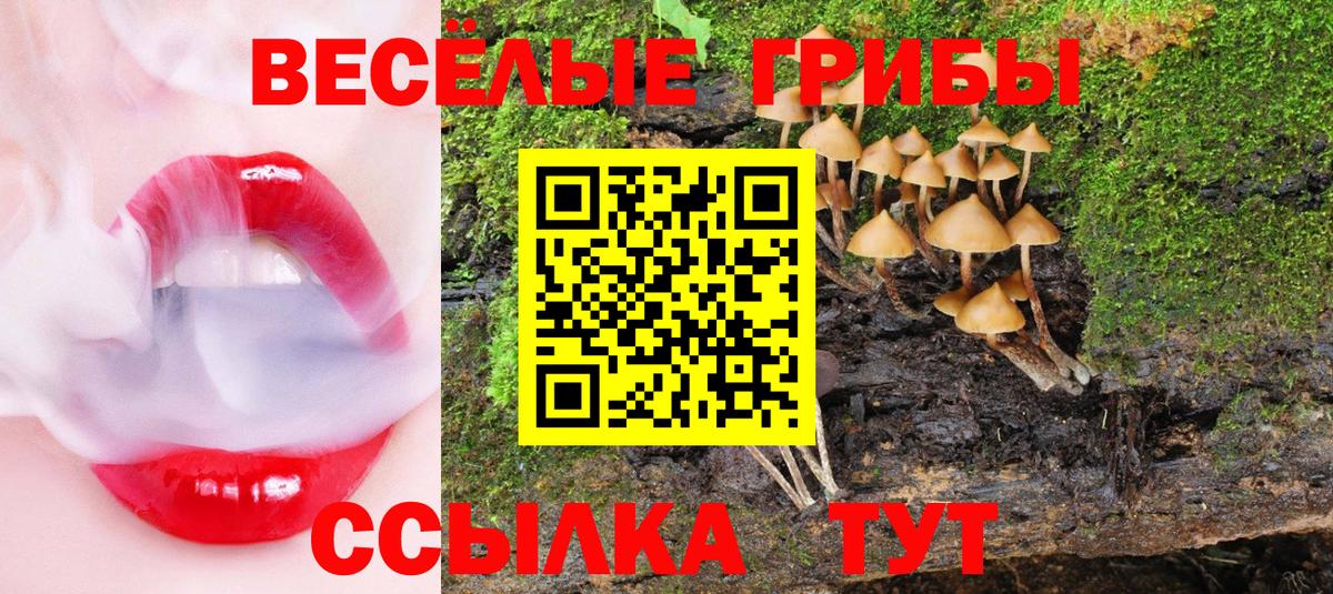 цены наркотик  Галлюциногенные грибы мухоморы  Вход с VPN  Карталы 